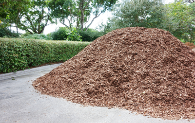 Yellow excavator loading dirt into a red dump truck, against a blue sky.