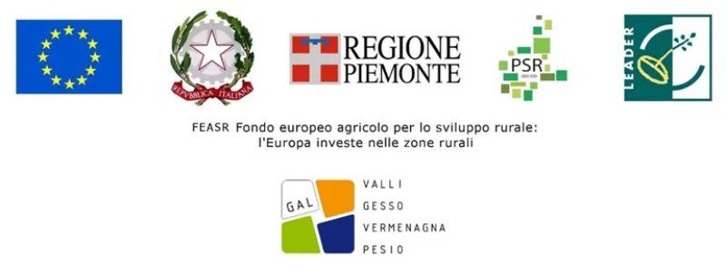 Logo - FEASR Piemonte