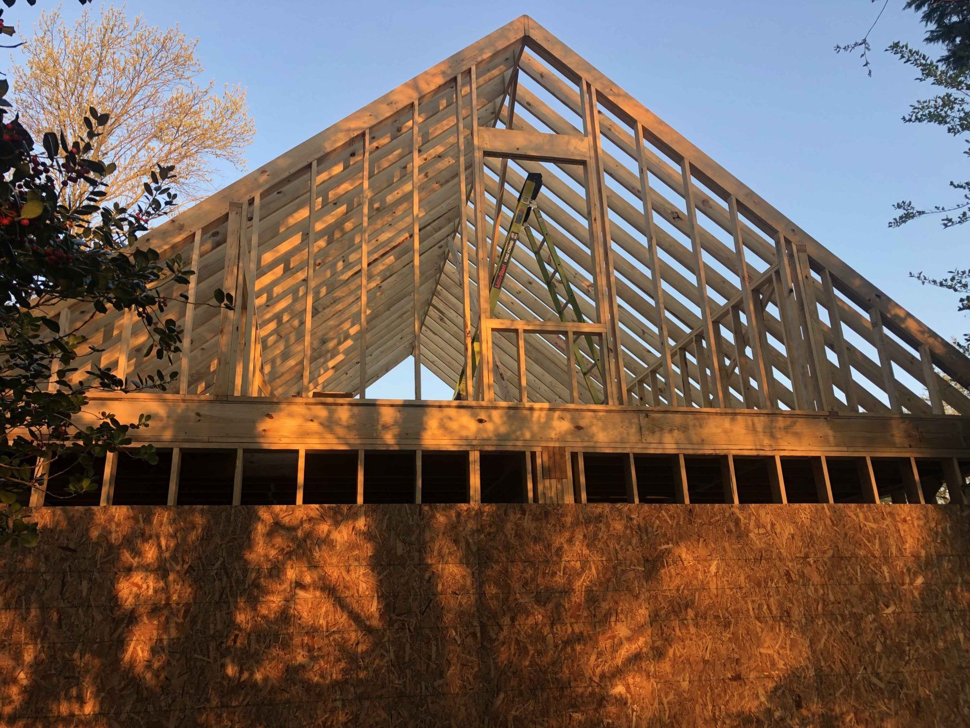 The roof of a house is being built and looks like a greenhouse.