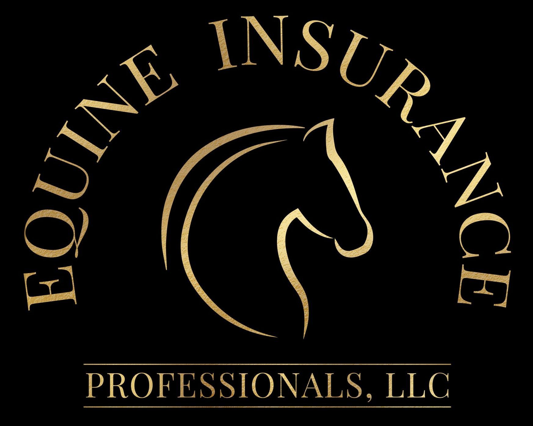 A logo for equine insurance professionals llc