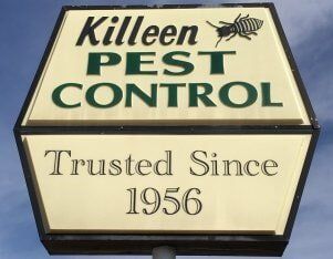 Pest Exterminator - Killeen Pest Control, Inc. in Killeen, TX