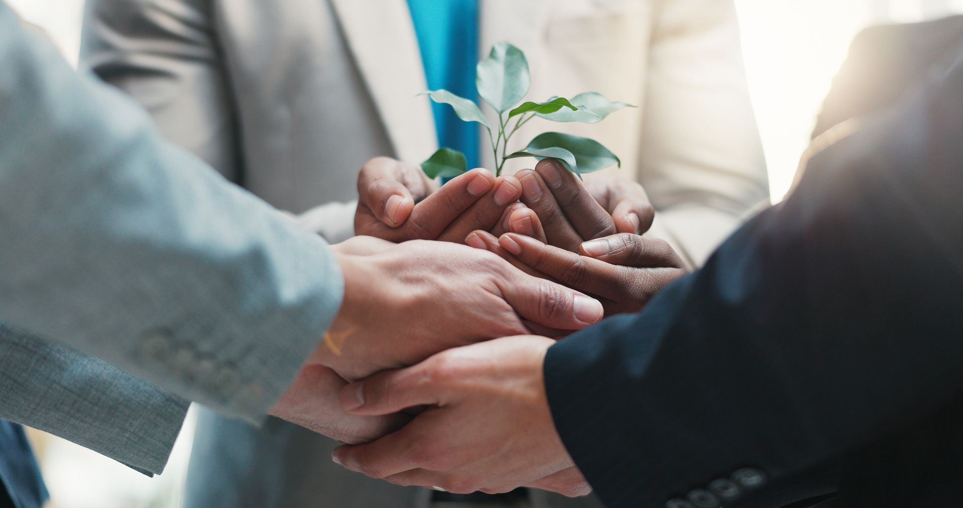 We support staff-led charity and environmental initiatives, empowering our teams to make a positive impact.\