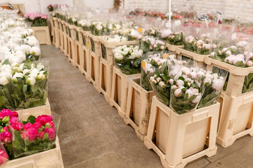 fiori per la vendita all'ingrosso