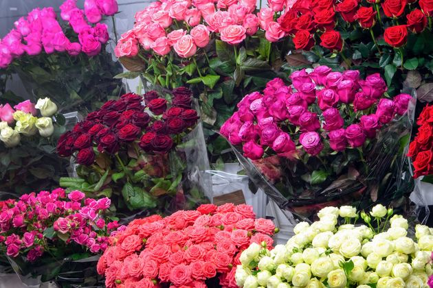 fiori per ingrosso