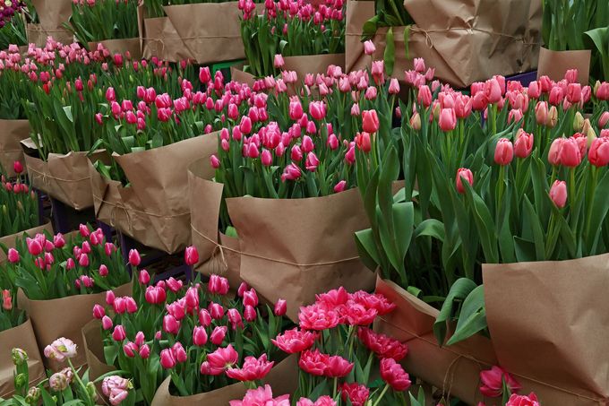 fiori pronti per la vendita