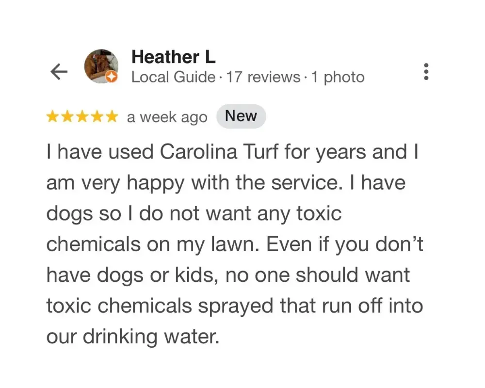 I have used Carolina Turf for years and I am very happy with the service. I have dogs so I do not want any toxic chemicals on my lawn. Even if you don't have dogs or kids, no one should want toxic chemicals sprayed that run off into our drinking water.