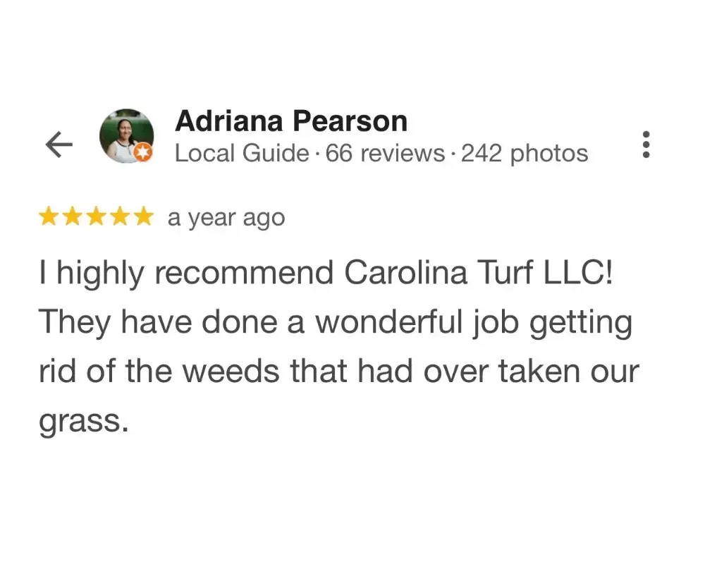 I highly recommend Carolina Turf LLC! They have done a wonderful job getting rid of the weeds that had over taken our grass.