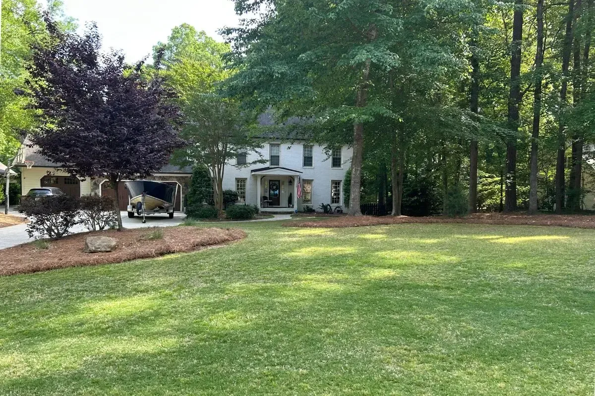 Our customer's organic lawn in Raleigh