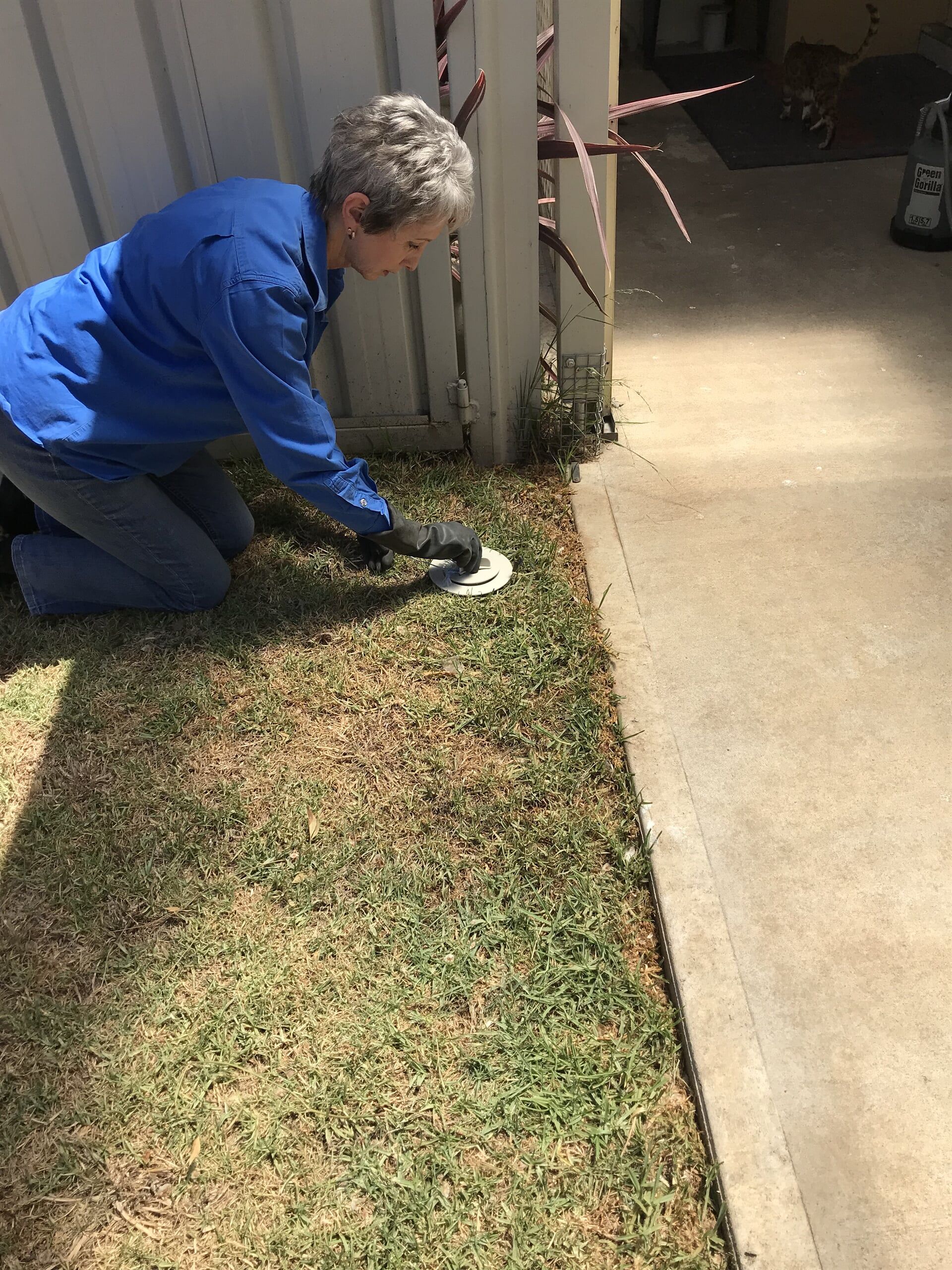 Spraying Pesticides — Signature Inspections & Pest Management in Bathrust, NSW