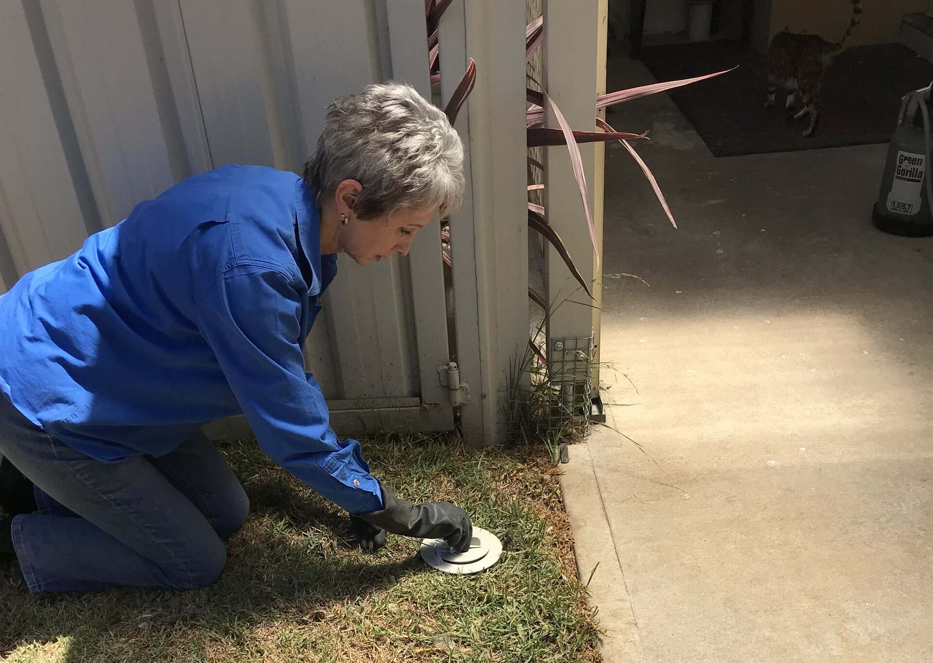 Installing termite baiting stations — Signature Inspections & Pest Management in Bathrust, NSW