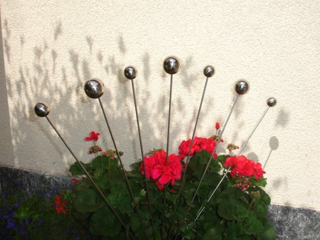 Ein Strauß roter Blumen wächst vor einer weißen Wand