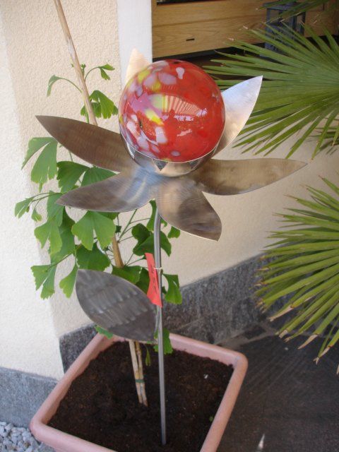 Eine Topfpflanze mit einer roten Blume darin