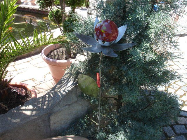 Eine Pflanze mit einer roten Blume in der Mitte