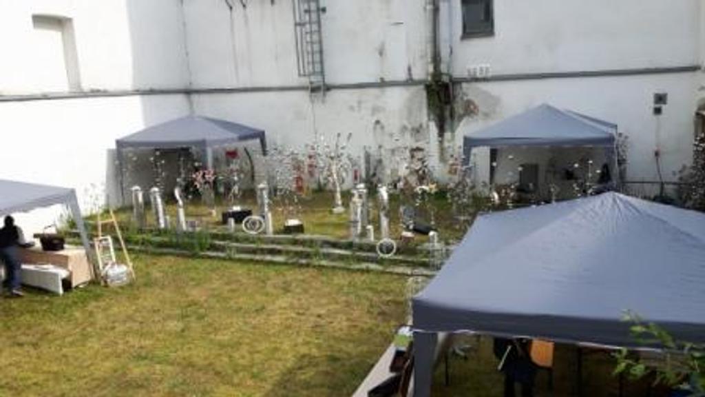 Eine Gruppe Zelte steht auf einem üppigen grünen Feld.