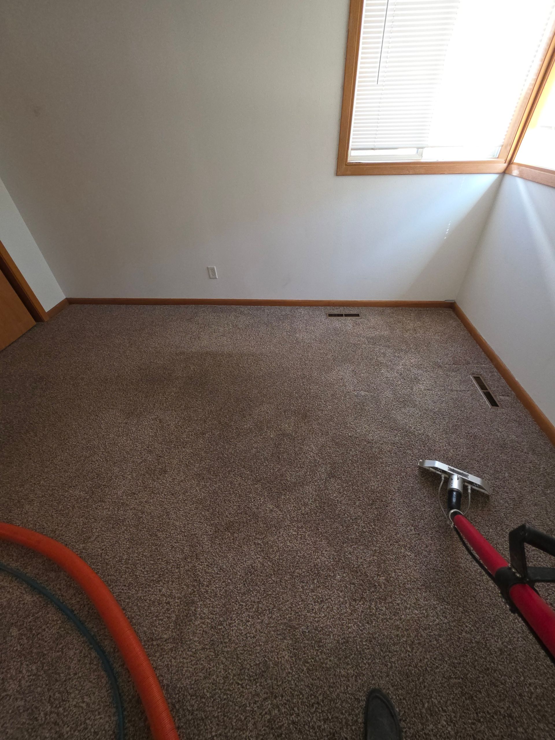 carpet cleaning bismarck
