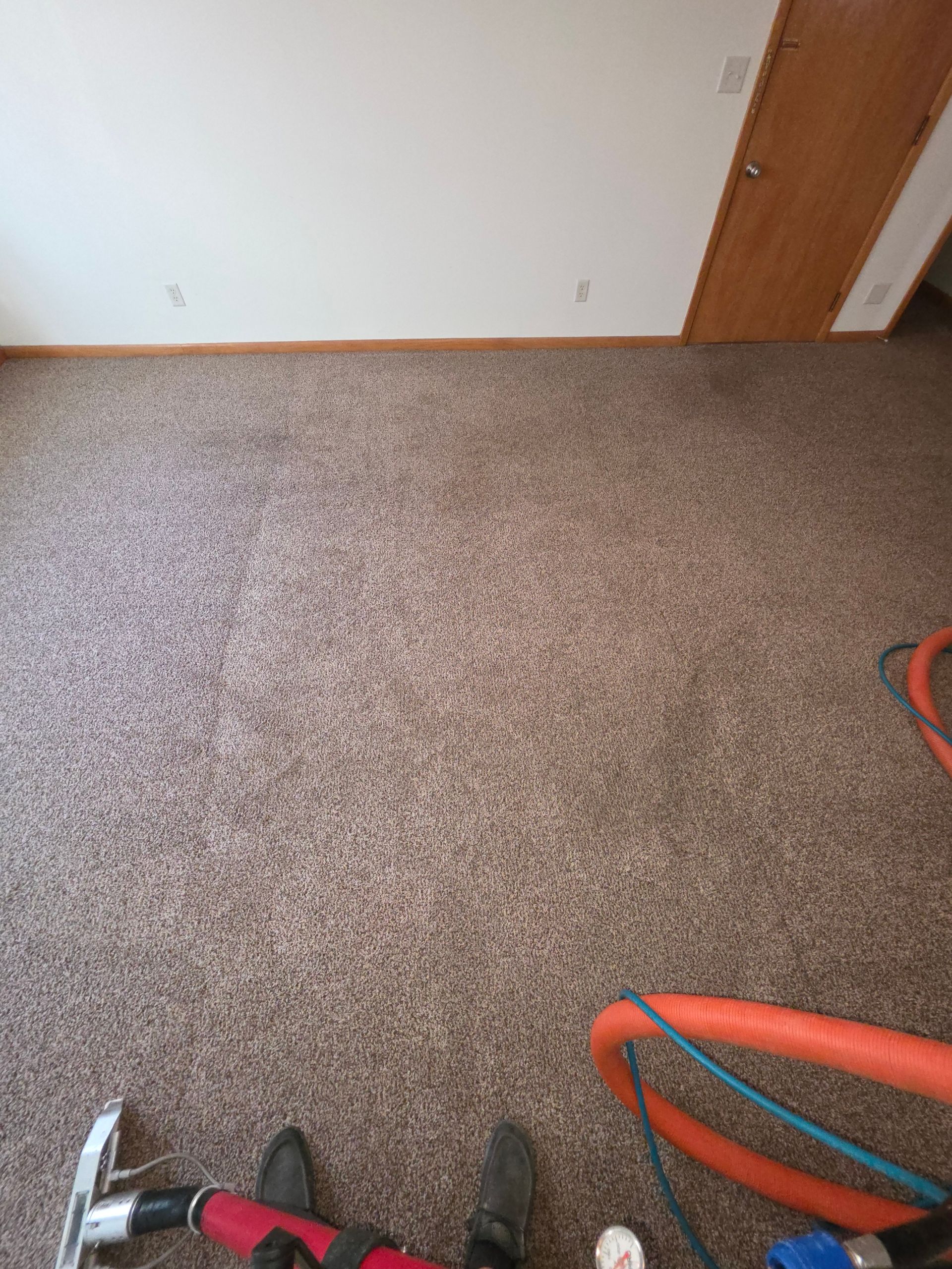 ND carpet cleaning company