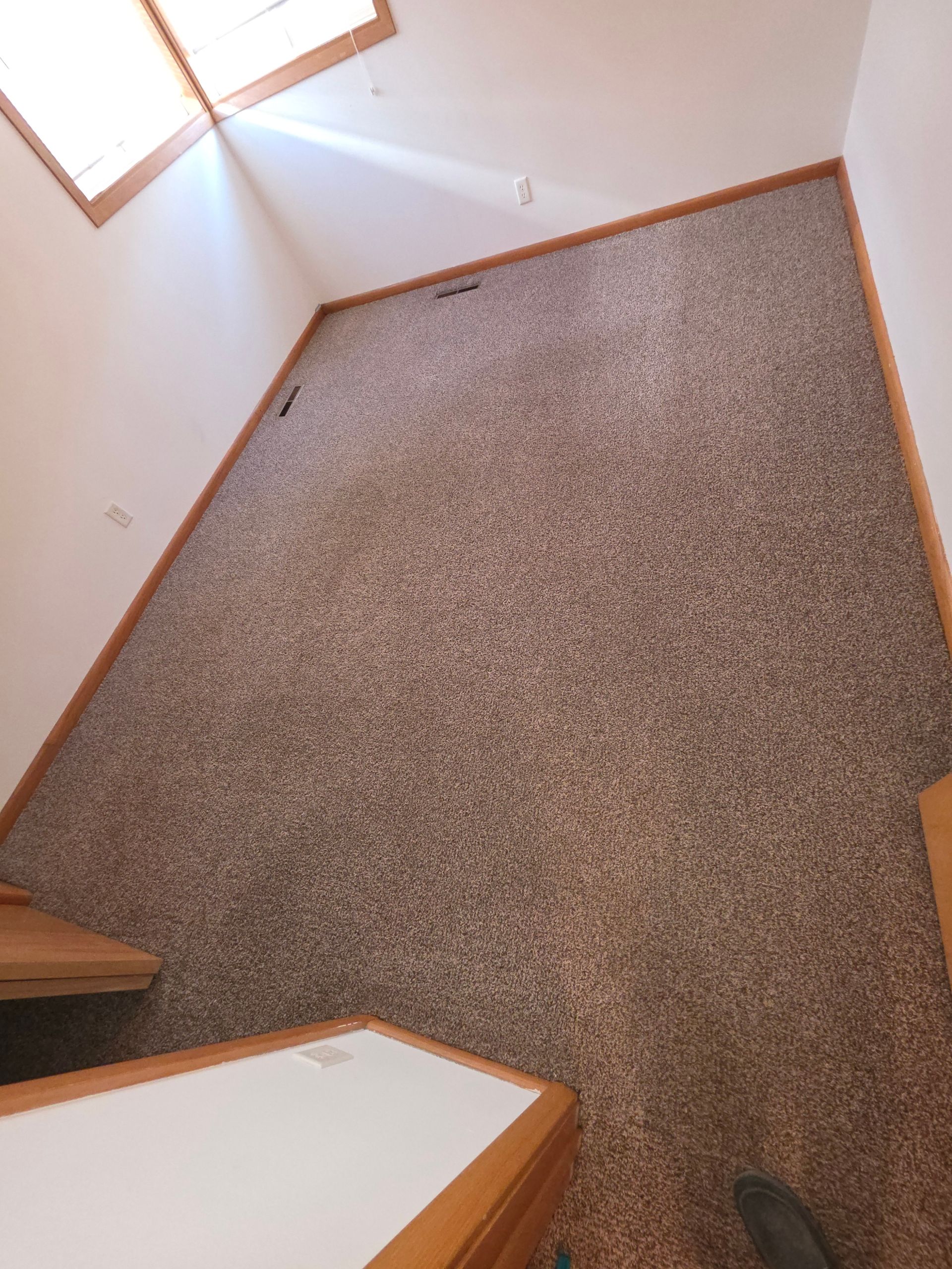 carpet cleaning company