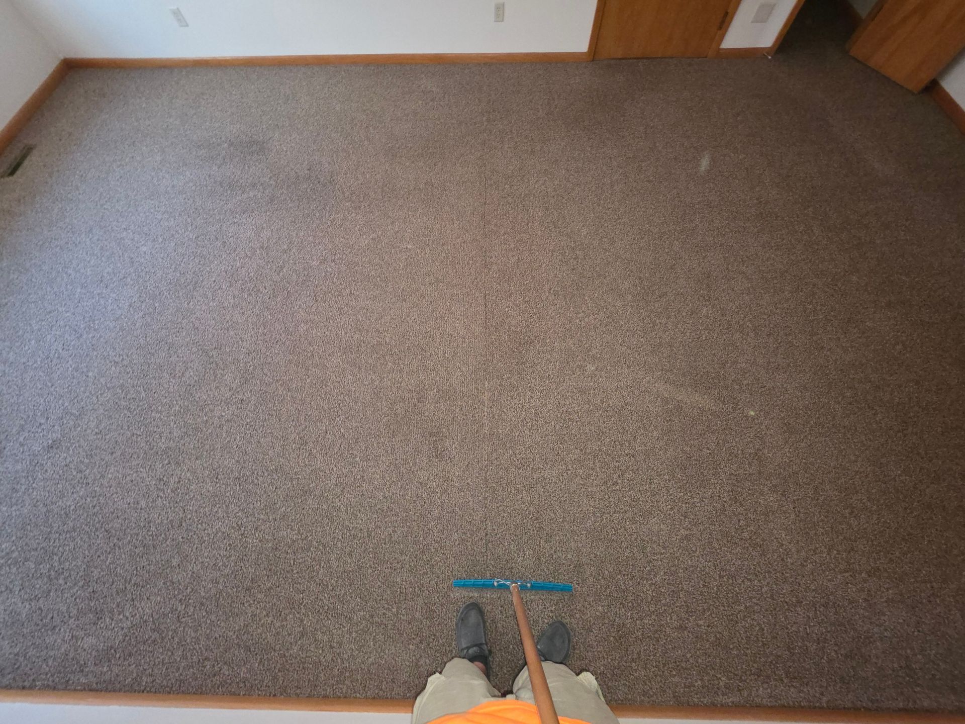 mandan upholstery cleaning