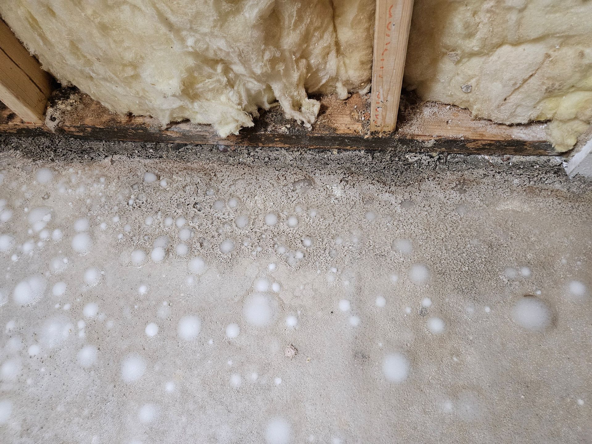 Mold Remediation Services