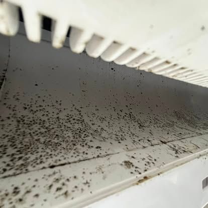 Interior view of a dirty air vent with visible black mold and debris. White plastic and a grill are also visible.