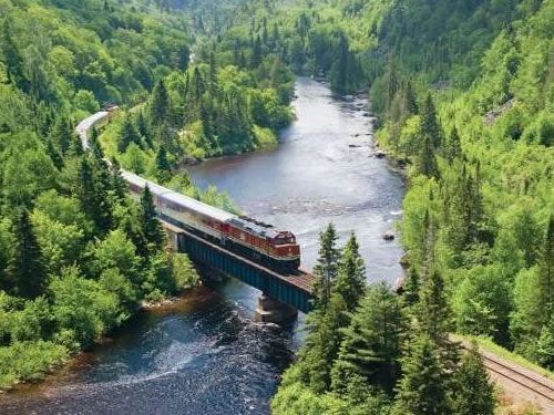A train is crossing a bridge over a river surrounded by trees.