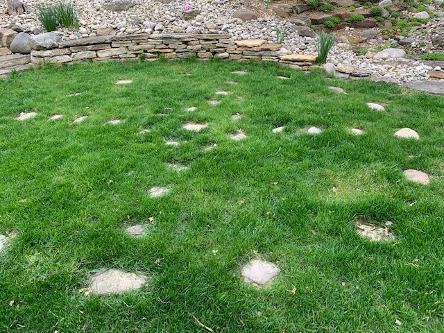 A lush green lawn with rocks in it and a stone wall in the background.