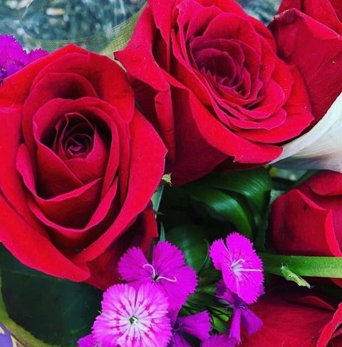 A bouquet of red roses and purple flowers