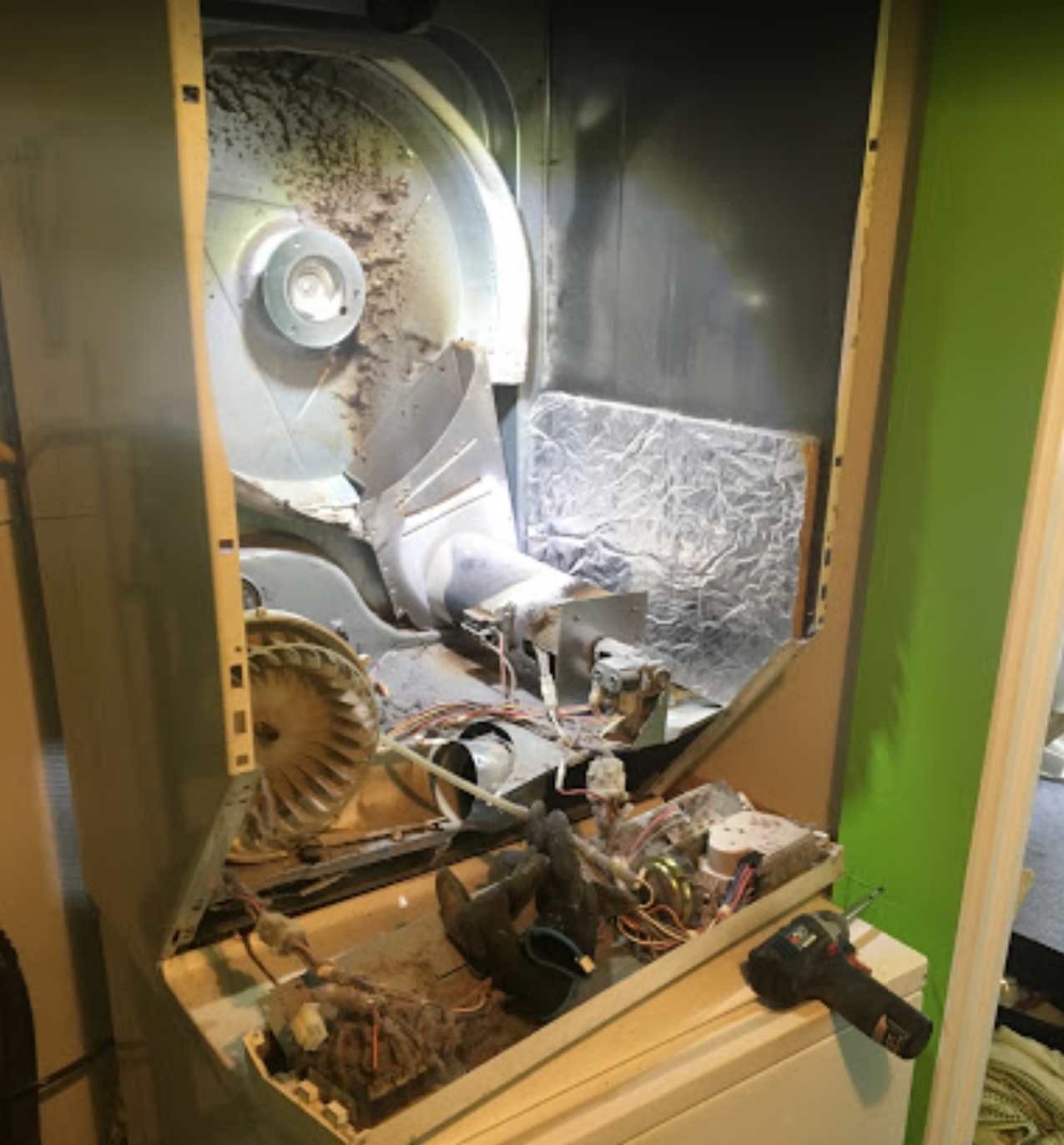 The inside of a refrigerator is shown with a green wall in the background.