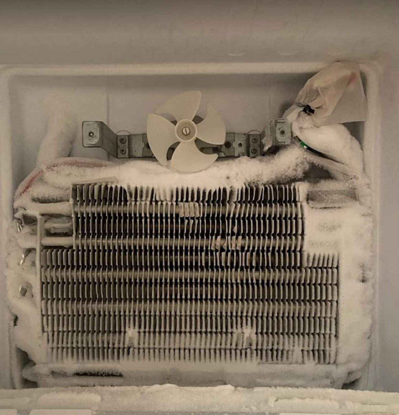 The inside of a refrigerator with a fan covered in ice