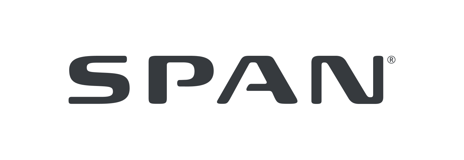 The word "SPAN" in a dark, stylized, sans-serif font against a white background.