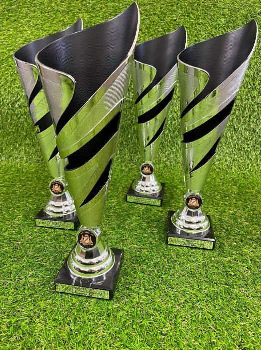 A Group of Silver and Black Trophies Sitting on Top of a Lush Green Field  — Signtek Gladstone in Gladstone Central, QLD
