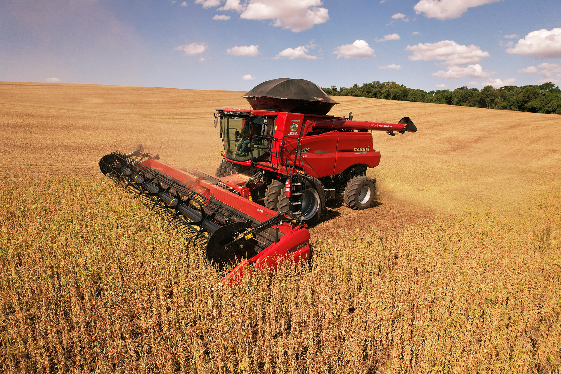 A combine harvester is working in a field of soybean