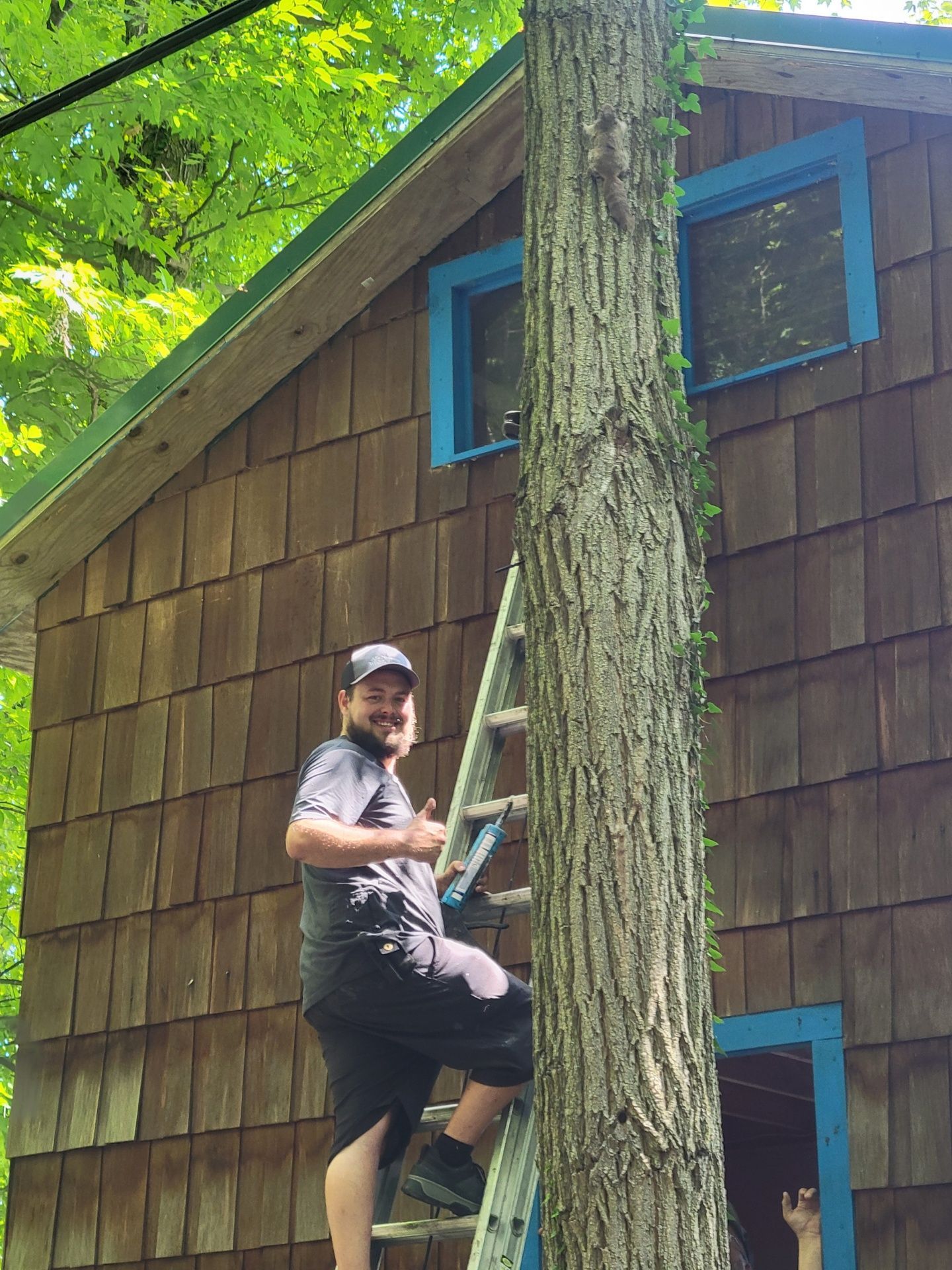 A man is sitting on a ladder next to a tree in front of a house.