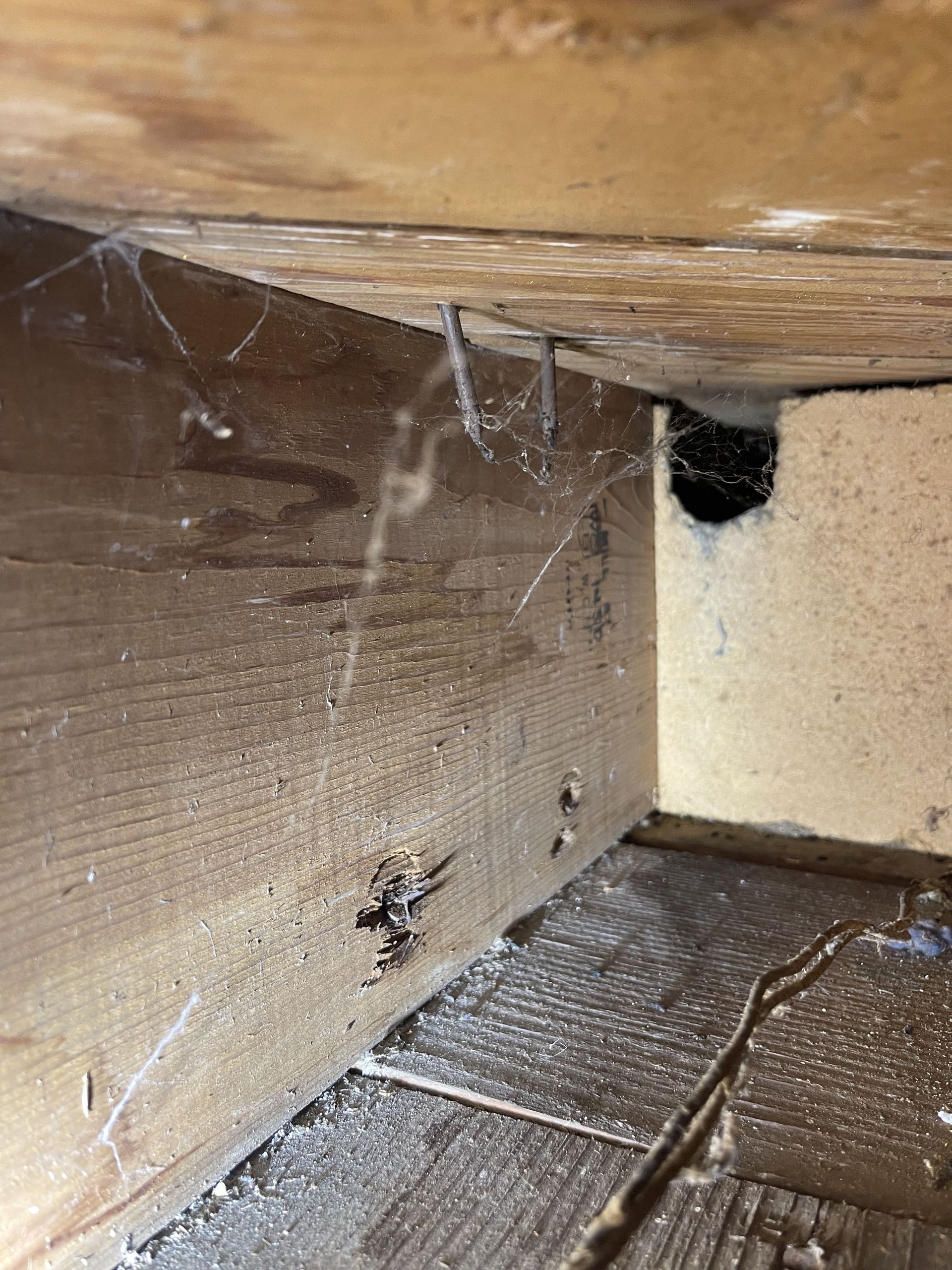 A spider web is hanging from the ceiling of a wooden room.