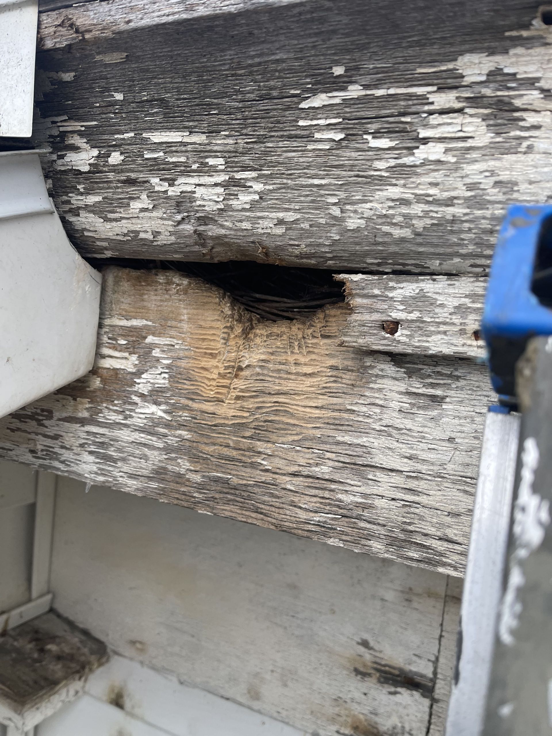 A close up of a piece of wood with a hole in it.