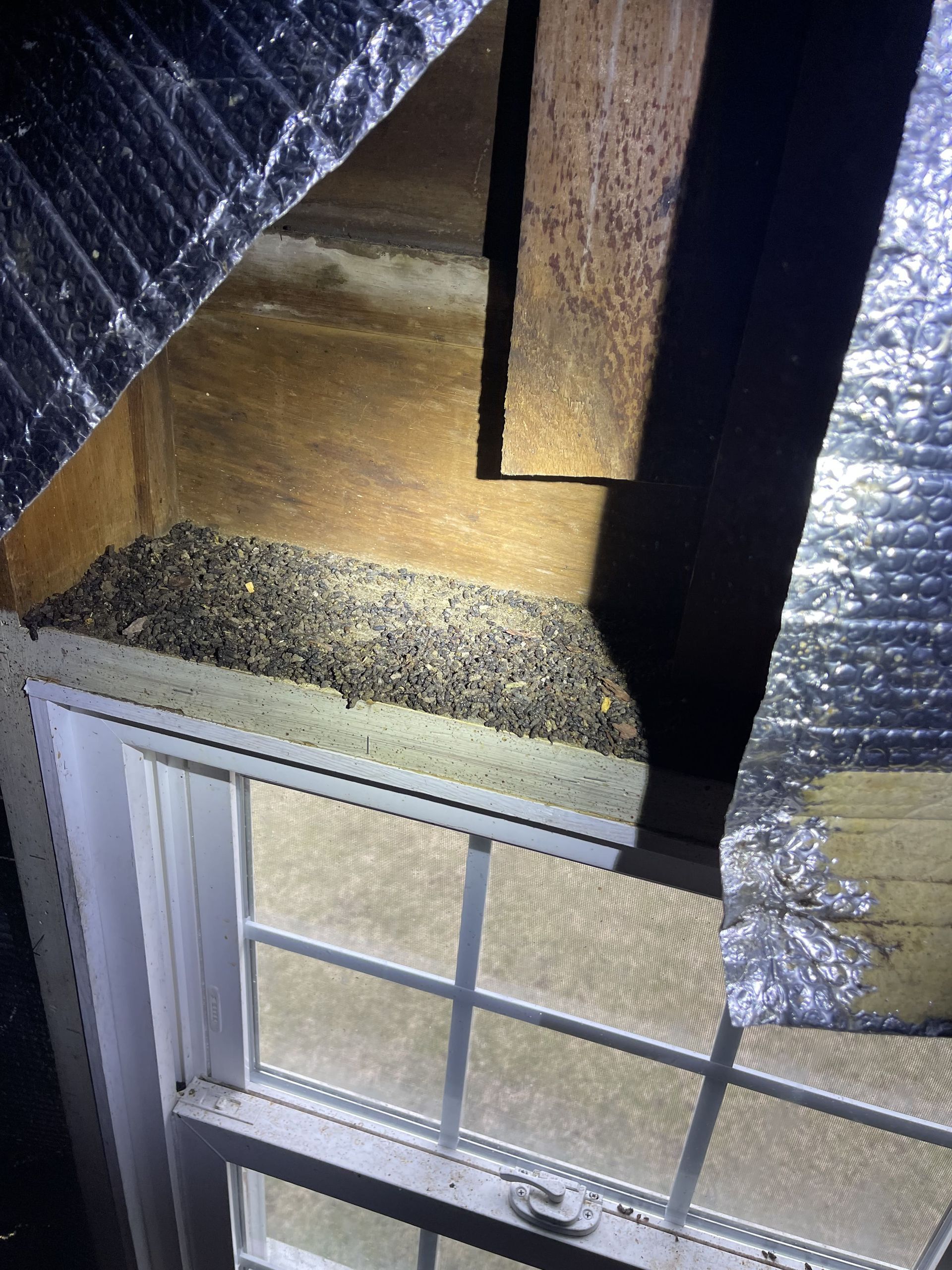 A picture of a window and a picture of a ceiling.