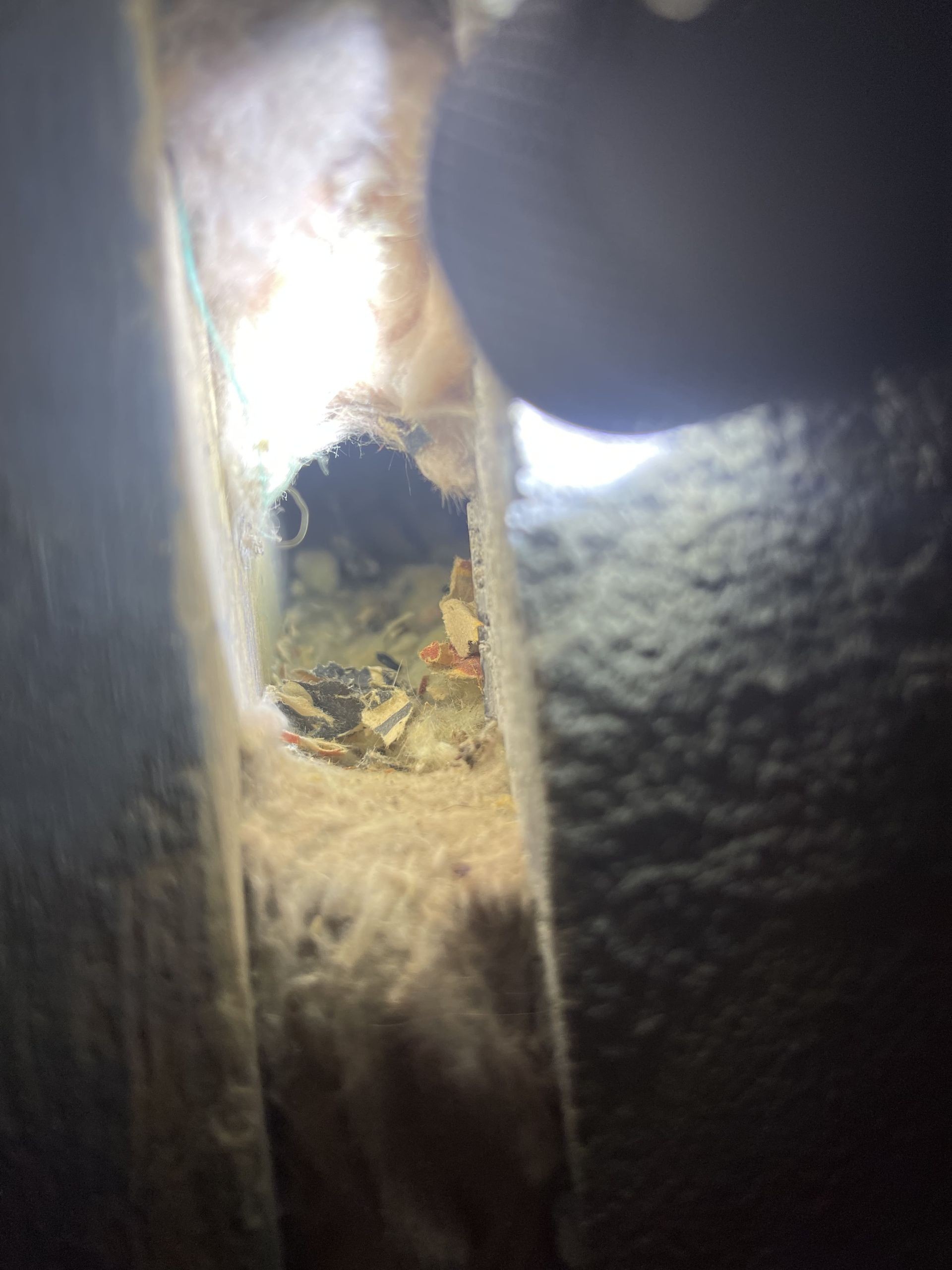 A person is looking through a hole in a wall with a flashlight.