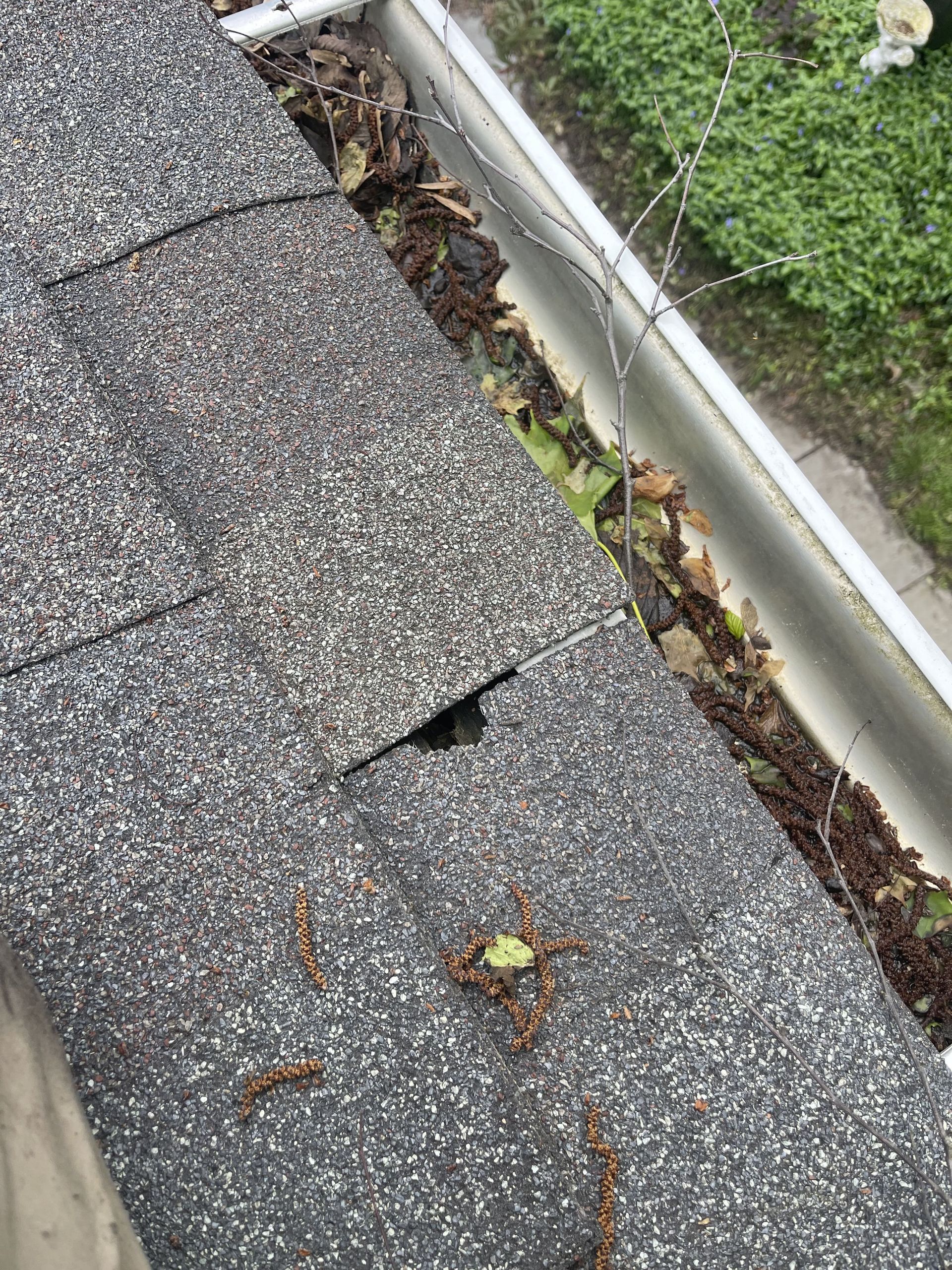 A close up of a gutter on a roof with leaves on it.
