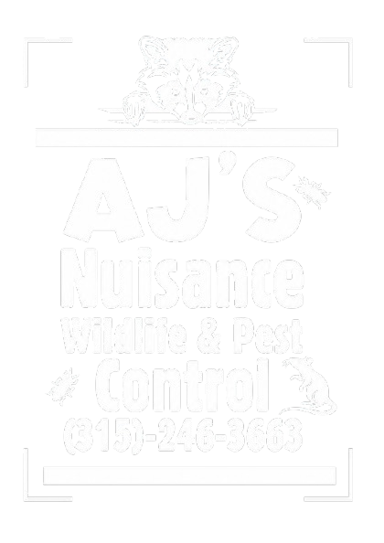 AJ's Nuisance Wildlife Control AJ's Nuisance Wildlife Control