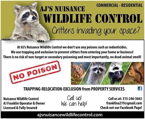 An advertisement for aj 's nuisance wildlife control