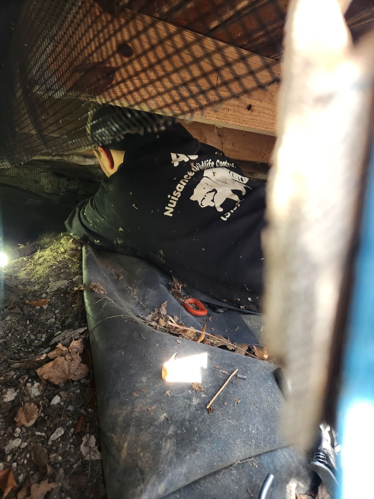 A person wearing a black shirt with a bear on it