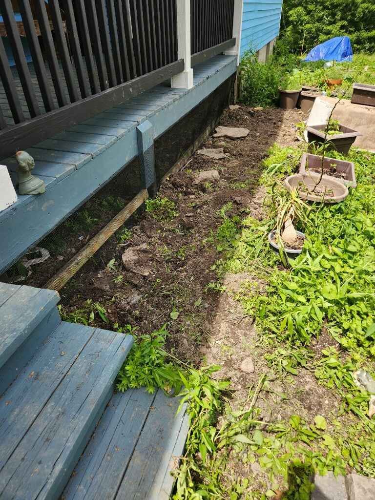 A wooden deck with stairs leading up to it next to a lush green yard.
