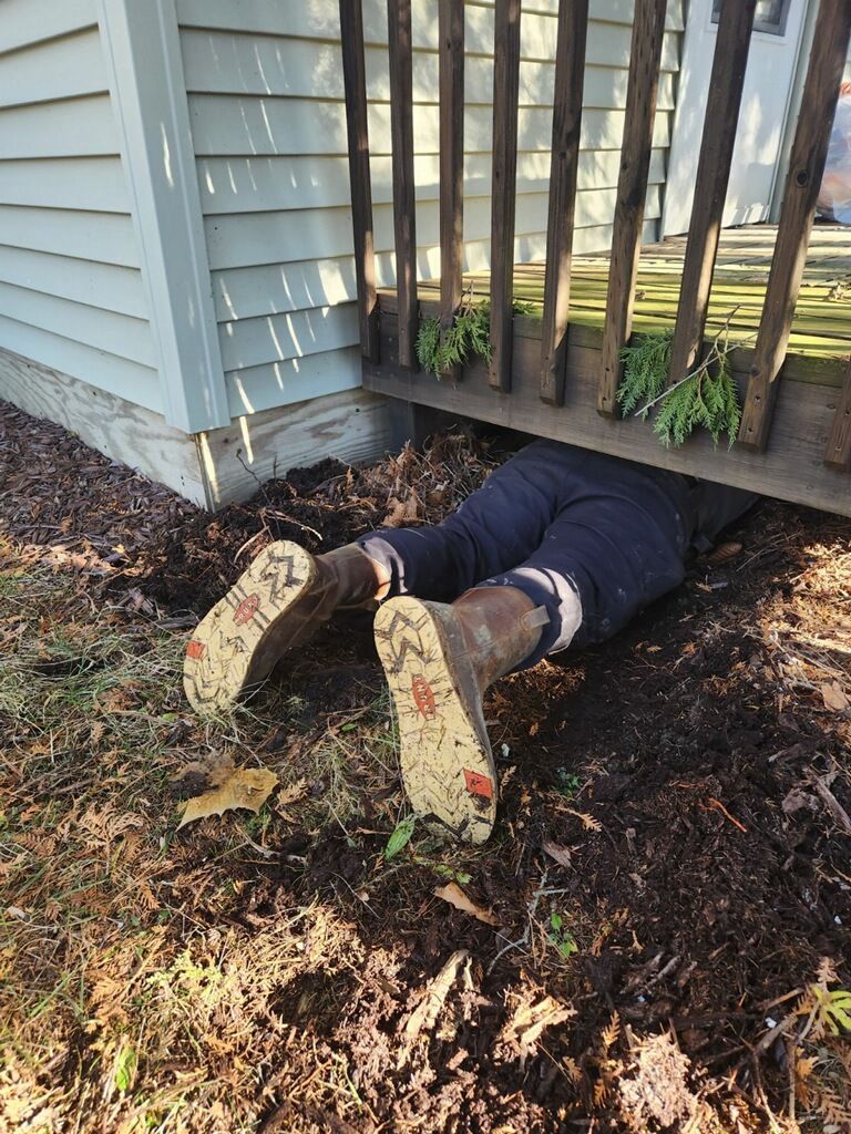 Professional Wildlife Worker Crawling under the deck