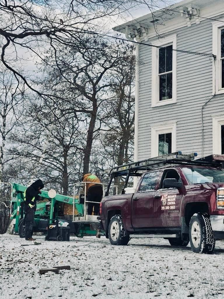 A red truck is parked in front of a house in the snow.