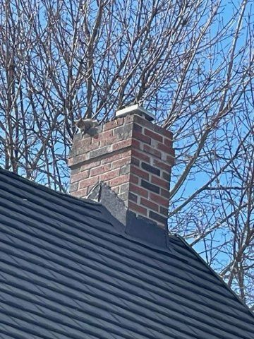 Brick chimney on a dark roof against a blue sky, surrounded by bare tree branches.