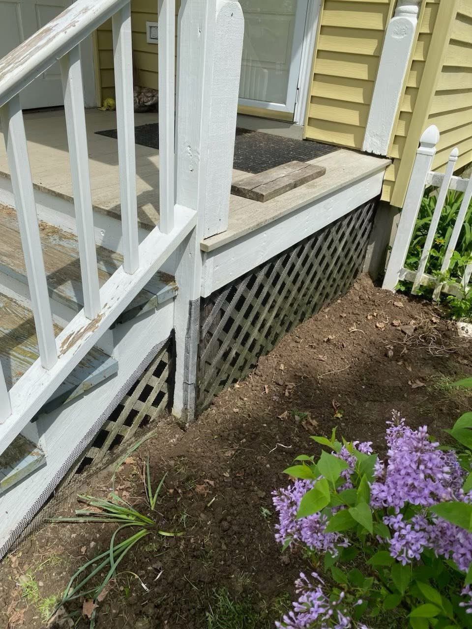 Lattice skirting beneath a porch with white railing. Lilac bushes grow in the dark soil.