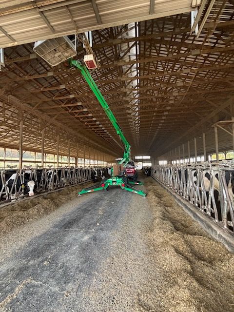 Green lift inside a barn, working on the ceiling. Cows are in stalls on both sides.