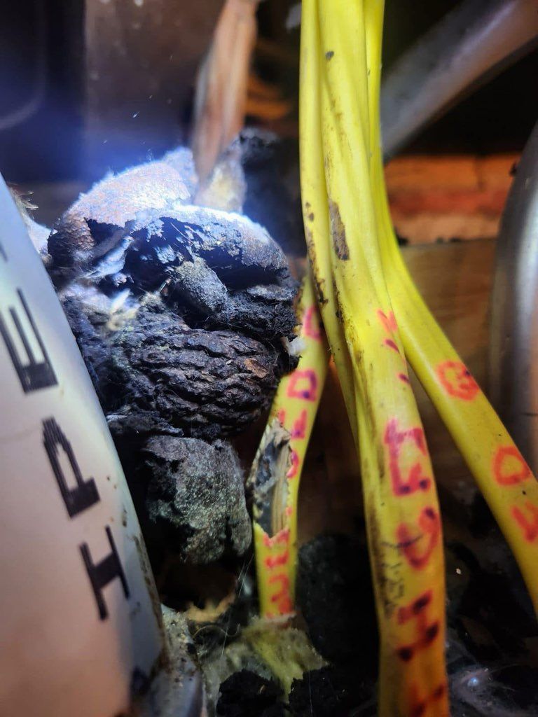Charred electrical wiring and connections in an attic space, with damaged yellow cables.