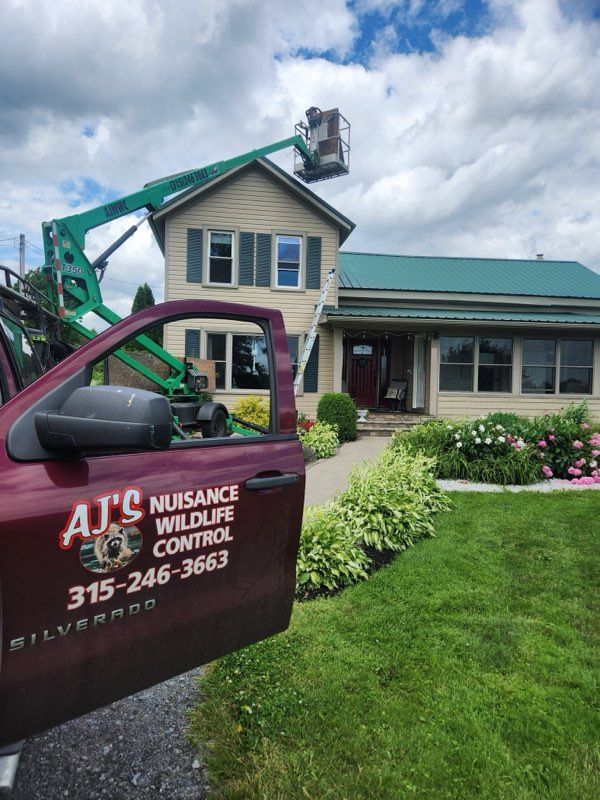 A truck from AJ's Nuisance Wildlife Control is parked in front of a house, and a person in a lift is working on the roof.