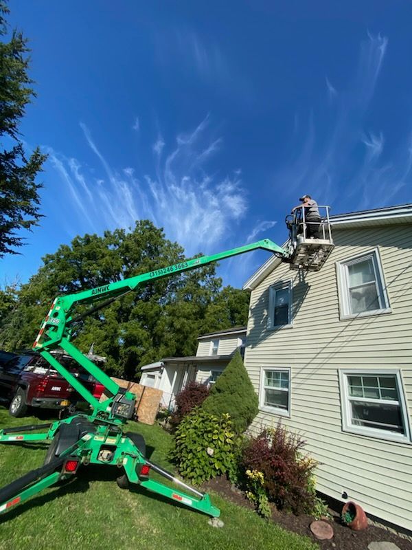 Squirrel Holding it's Food